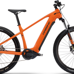 E- HARDTAIL- 3 hours rent